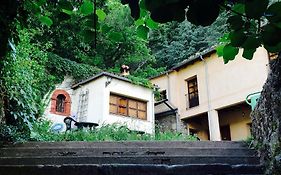 El Jardin Del Conde