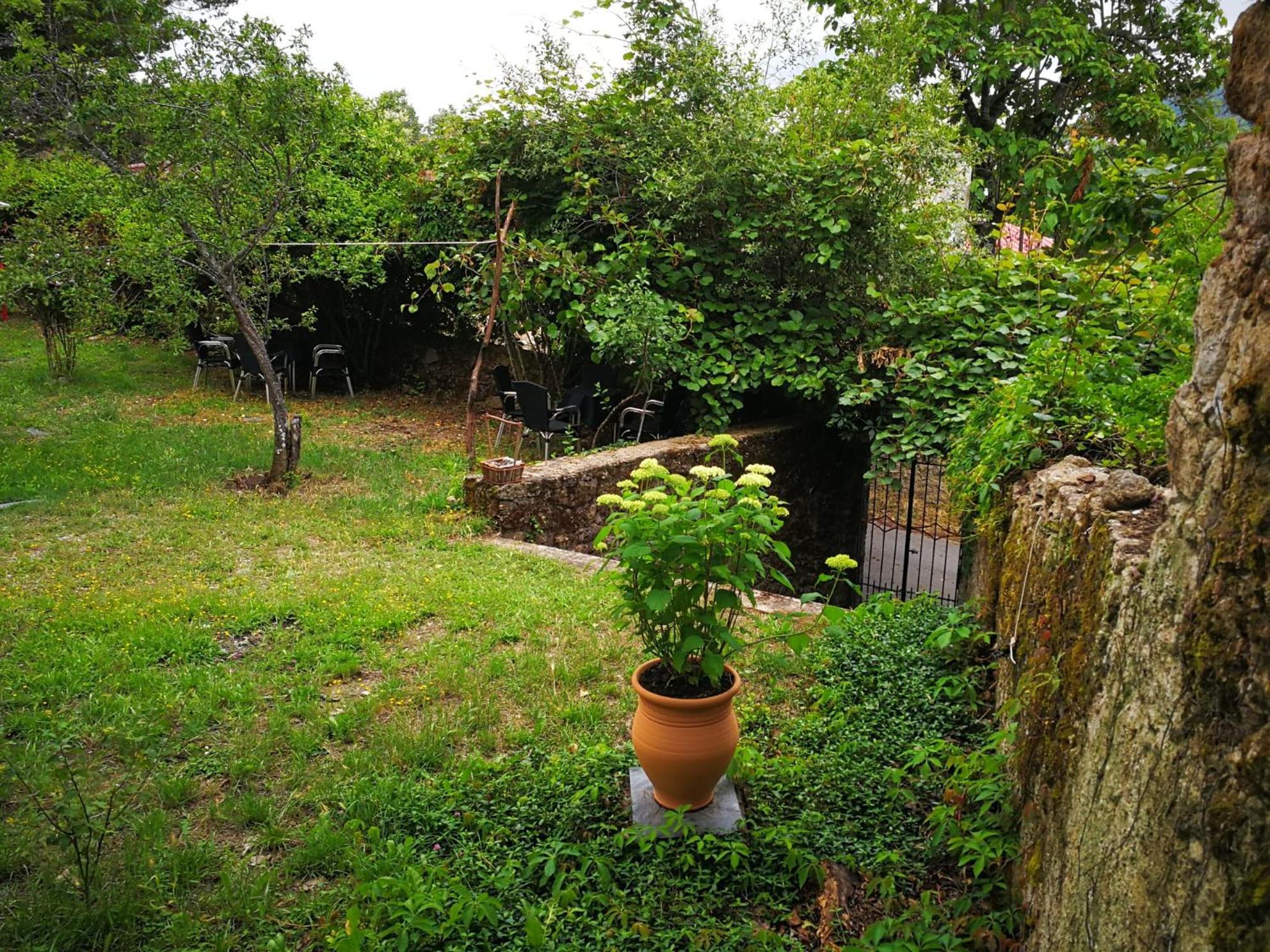 El Jardin Del Conde Guest House Puerto de Bejar Exterior photo